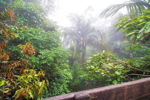Mt Glorious Getaways - Holiday Adelaide 7