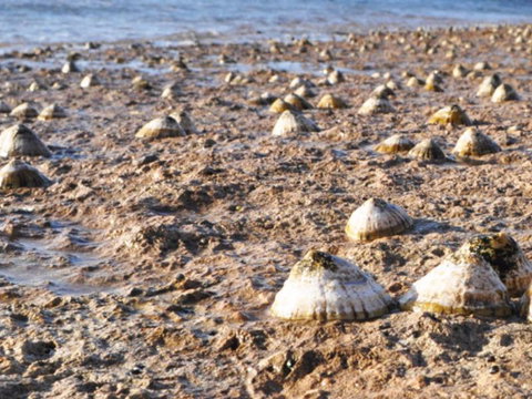 Port Lincoln Holiday Apartments - Holiday Adelaide 5