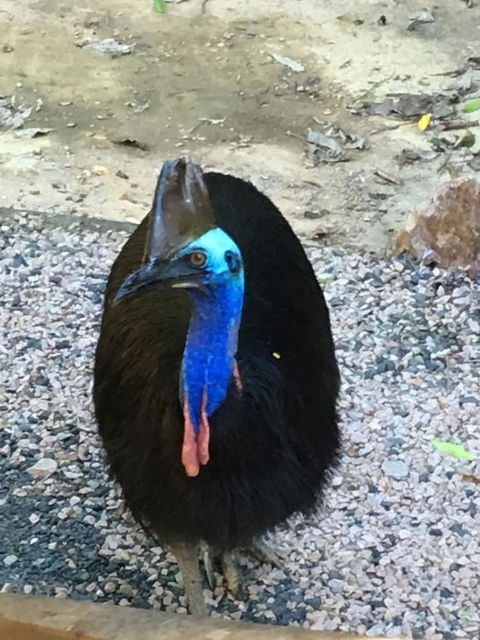 Licuala Lodge - Holiday Adelaide 0