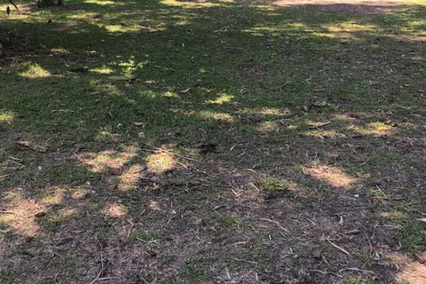 Dunk Island View Caravan Park - Holiday Adelaide 3
