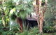 The Oasis At One Mile Beach - thumb 0