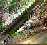 Rainforest Hideaway - Holiday Adelaide