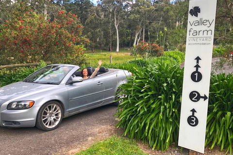 Valley Farm Vineyard Cottages - Holiday Adelaide 0