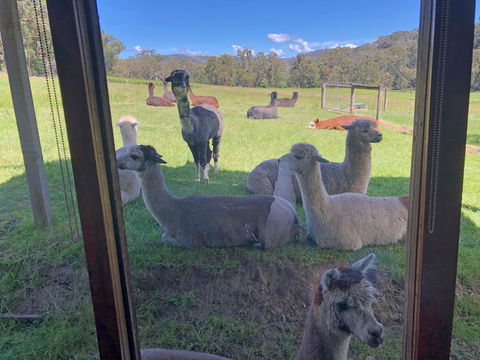 Valley Farm Vineyard Cottages - Holiday Adelaide 2