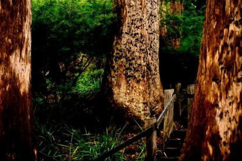 Billa Billa Farm Cottages - Holiday Adelaide 2