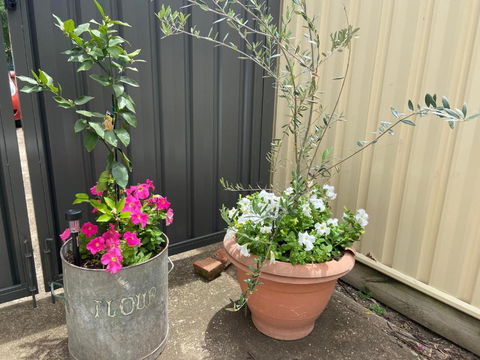 Bendigo Backpackers - Holiday Adelaide 2