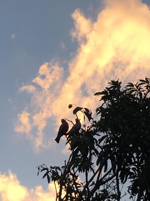 Major Innes Motel - Holiday Adelaide 1