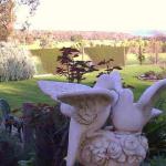 Springbank Bed & Breakfast - Holiday Adelaide 0