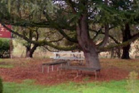 Auburn Shiraz Motel - Holiday Adelaide 0