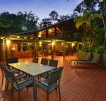 Wait a While Daintree