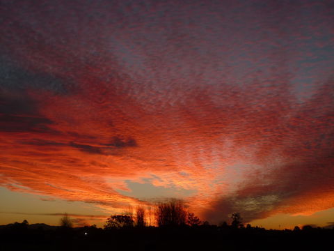 City Centre Motel - Holiday Adelaide 0