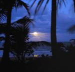 Sejala Beach Huts - Holiday Adelaide
