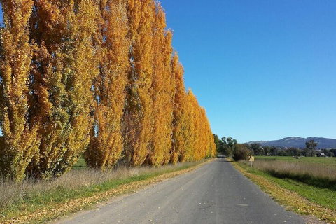 Harriet House Tumut - Holiday Adelaide 1