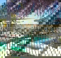 Must Love Dogs Bb - Holiday Adelaide