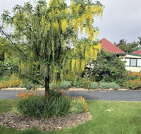 Hamlet Downs Country Accommodation