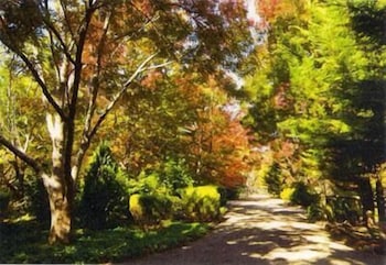 Chalets Lumineux - Holiday Adelaide 0