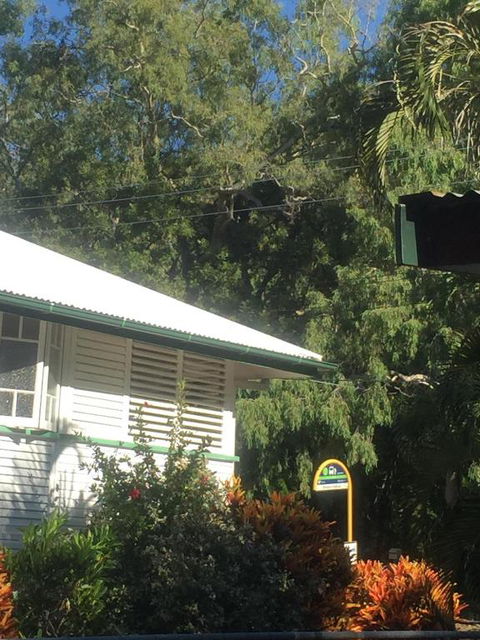 Daggoombah Holiday Home Magnetic Island - Holiday Adelaide 6