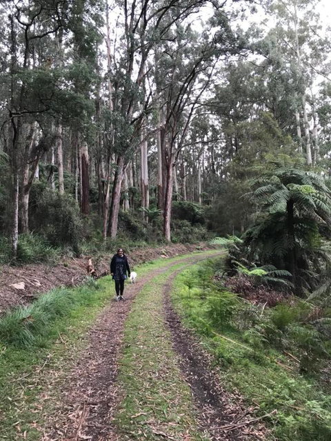 Warburton Holiday House - Holiday Adelaide 3