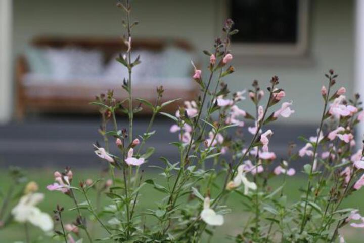 Allynbrook ACT Holiday Adelaide