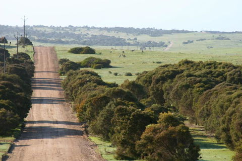 Almonta Park Lodge - Holiday Adelaide 4