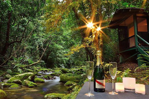 Misty Mountains Rainforest Retreat - Holiday Adelaide 3