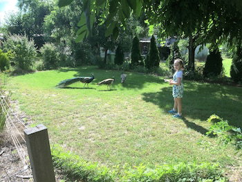 Eukey QLD Holiday Adelaide