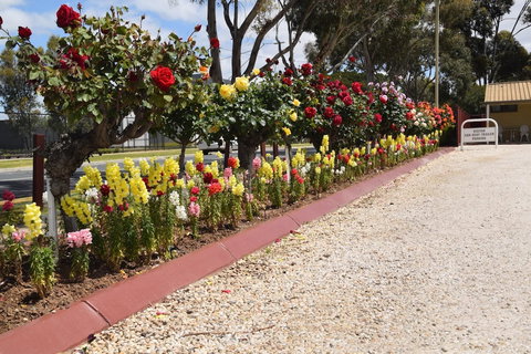 Big River Motel - Holiday Adelaide 5