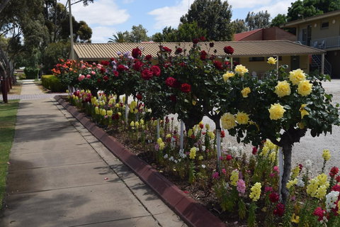 Big River Motel - Holiday Adelaide 2