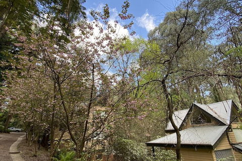 Lochiel Luxury Accommodation - Holiday Adelaide 4