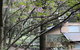 Lochiel Luxury Accommodation - thumb 5