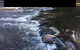 Warburton Motel - thumb 6