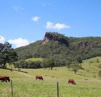 Rosevale House - Holiday Adelaide