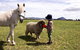Taras Richmond Farmstay - thumb 0