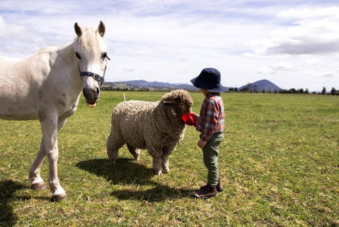 Taras Richmond Farmstay - Holiday Adelaide 0