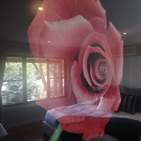 Bowral Road Bed And Breakfast - Holiday Adelaide 5