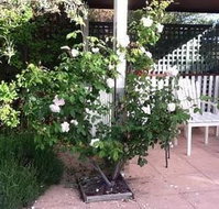 Ellesmere House - Holiday Adelaide