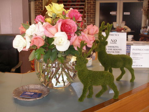 Apollon Motor Inn - Holiday Adelaide 2