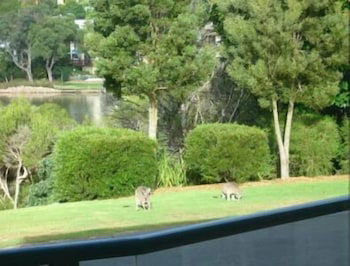 Bluewater Apartments Merimbula - Holiday Adelaide 2