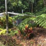 Honeybee House - Holiday Adelaide 0