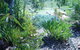 Old Miners Cottages Bed & Breakfast - thumb 3