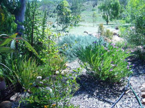Old Miners Cottages Bed & Breakfast - Holiday Adelaide 3