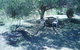 Old Miners Cottages Bed & Breakfast - thumb 5