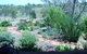 Old Miners Cottages Bed & Breakfast - thumb 2