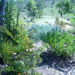 Old Miners Cottages Bed & Breakfast - Holiday Adelaide 0