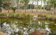 Charters Towers Motel - thumb 1
