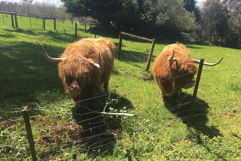 Neerim Country Cottages - Holiday Adelaide 2