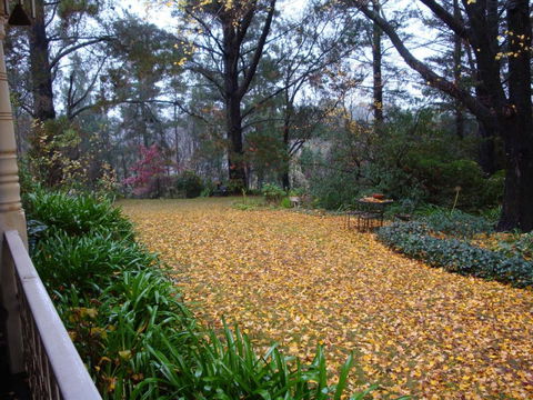 Southdown Cottage - Holiday Adelaide 4