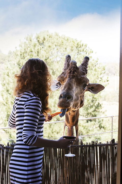 Jamala Wildlife Lodge - Holiday Adelaide 1