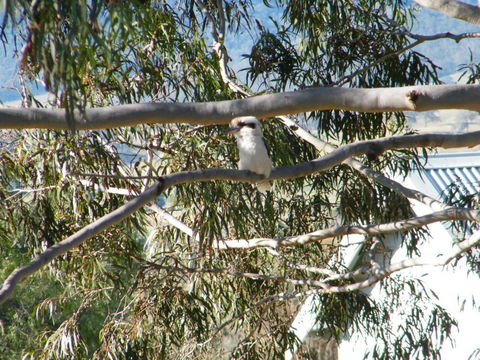 St Peters Fairview - Holiday Adelaide 1