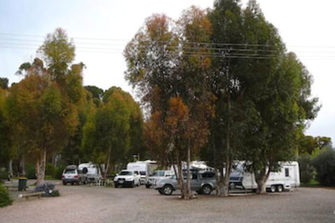 Gladstone Caravan Park - South Australia - Holiday Adelaide 1